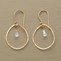 Classy Graceful Women's Retro Fashion Creative Earrings