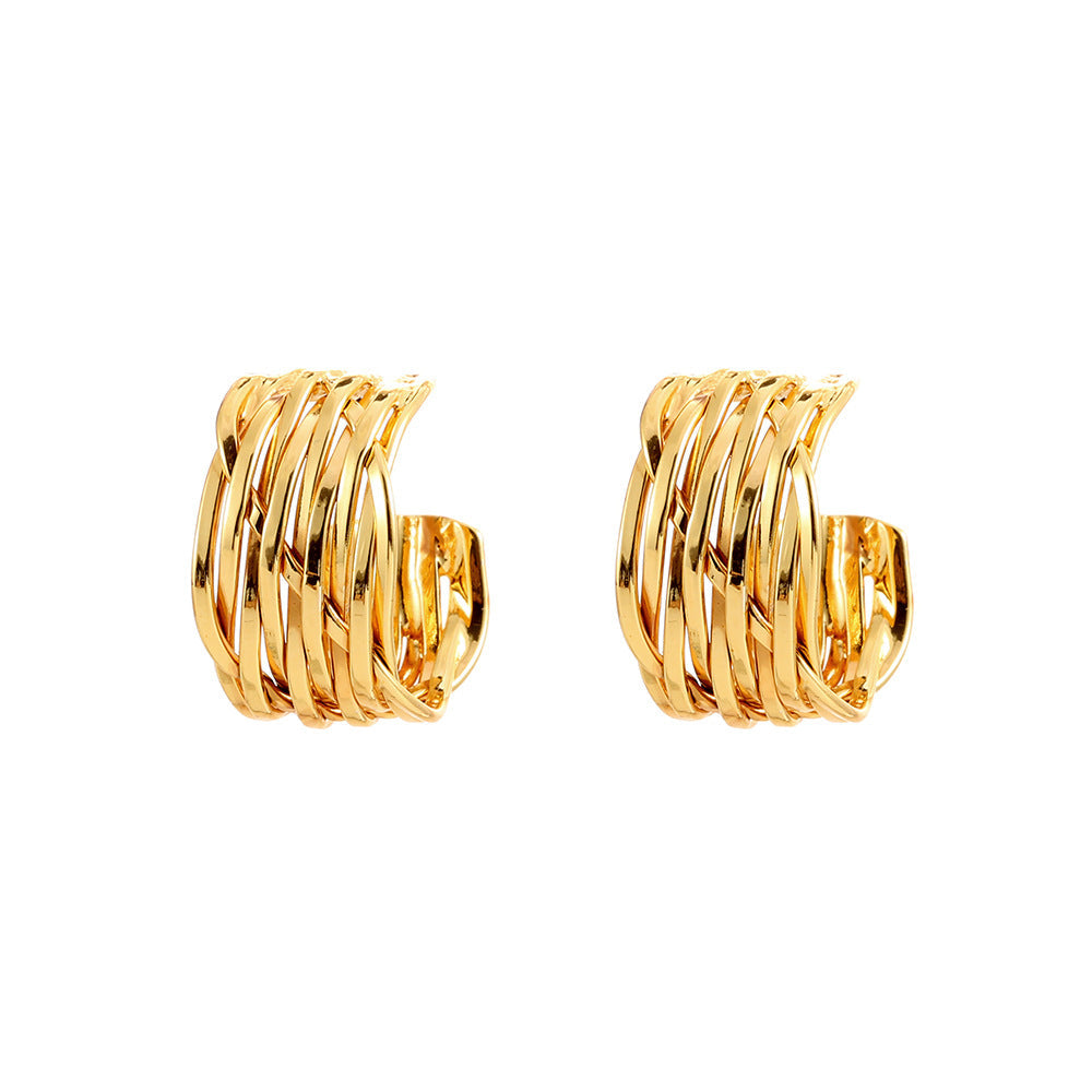 Women's Design Simple Everyday Fashion Light Luxury Earrings