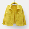 New Stunning Women's Plus Size Denim Jacket Spring Autumn